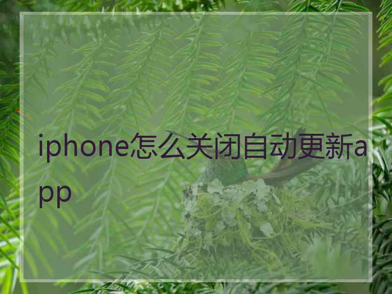 iphone怎么关闭自动更新app