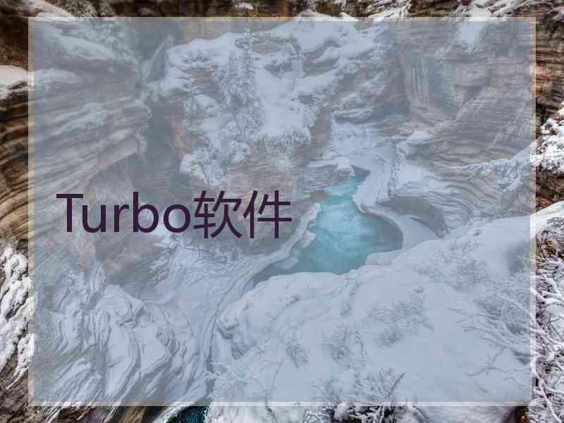 Turbo软件