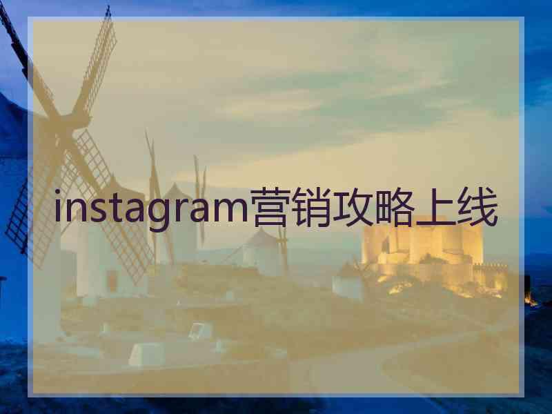 instagram营销攻略上线