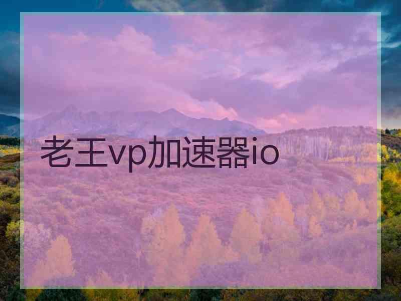 老王vp加速器io