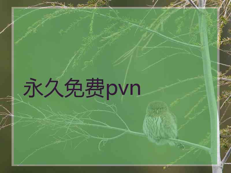 永久免费pvn