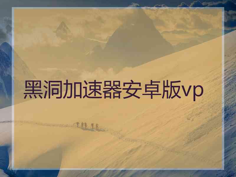 黑洞加速器安卓版vp