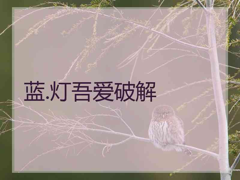 蓝.灯吾爱破解