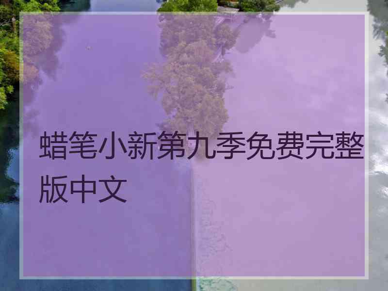 蜡笔小新第九季免费完整版中文