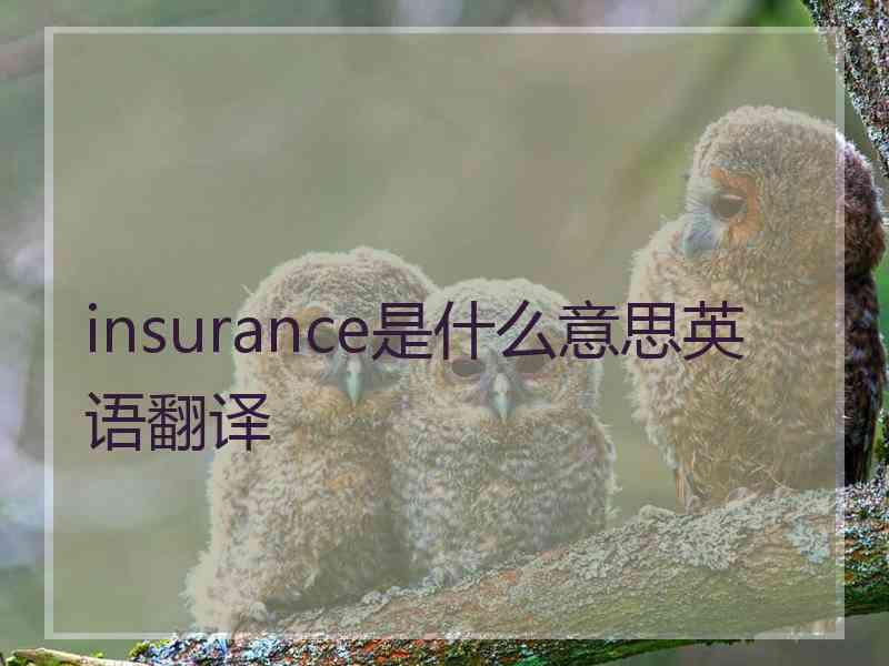 insurance是什么意思英语翻译