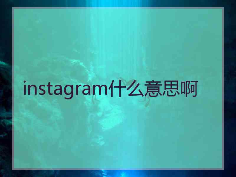 instagram什么意思啊