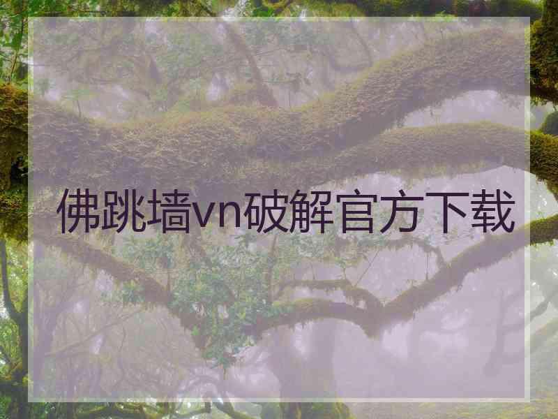 佛跳墙vn破解官方下载