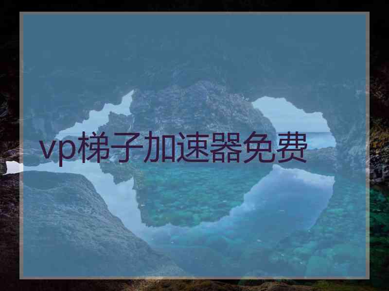 vp梯子加速器免费