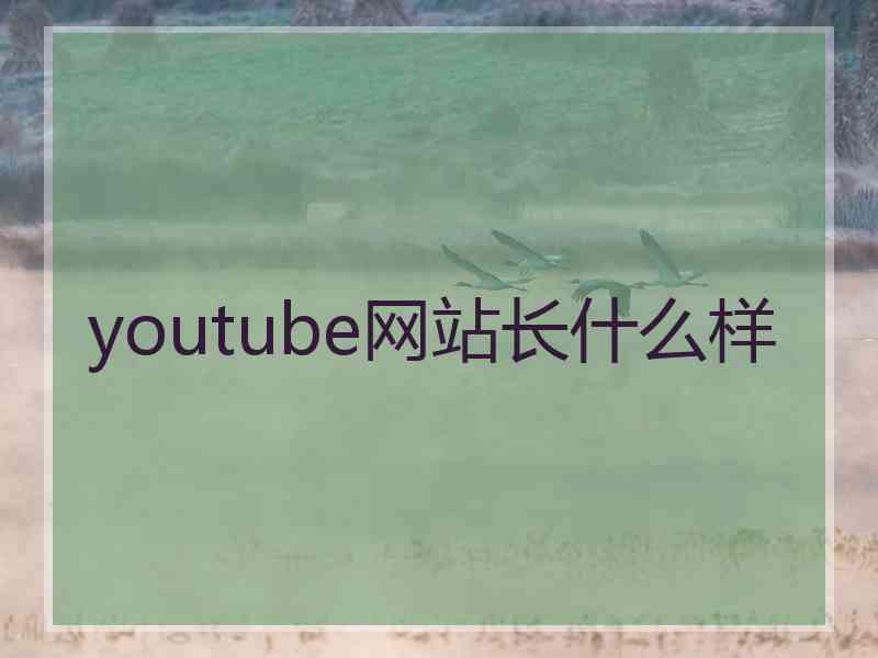 youtube网站长什么样