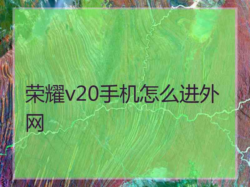 荣耀v20手机怎么进外网