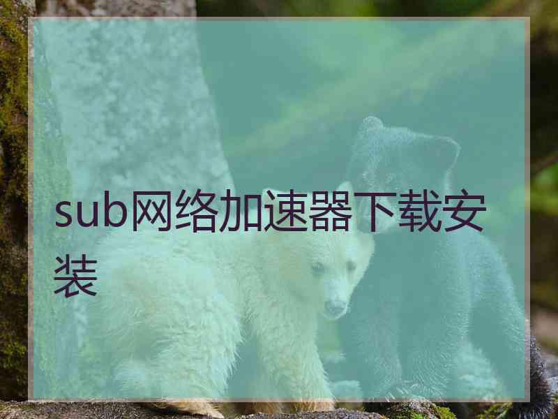 sub网络加速器下载安装