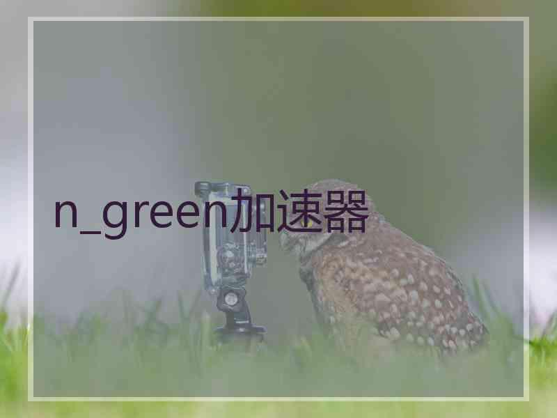 n_green加速器