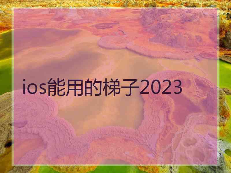 ios能用的梯子2023