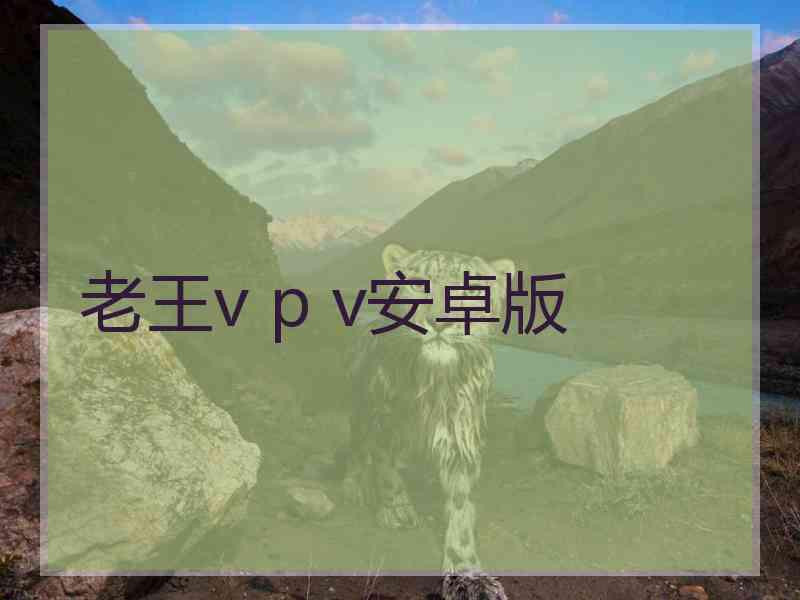 老王v p v安卓版