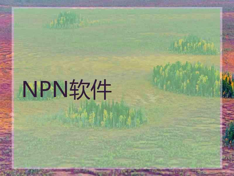 NPN软件