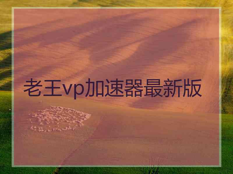 老王vp加速器最新版