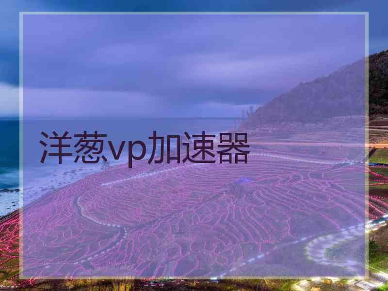 洋葱vp加速器