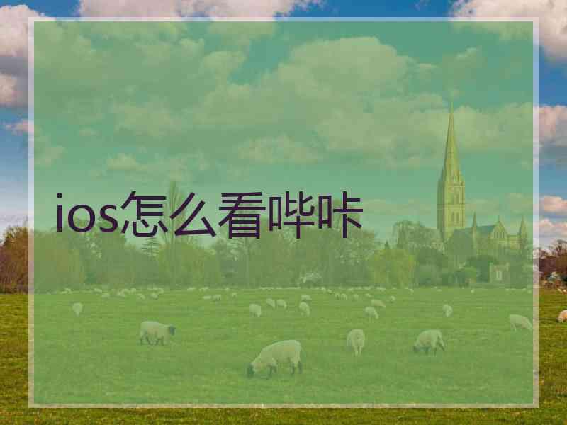 ios怎么看哔咔