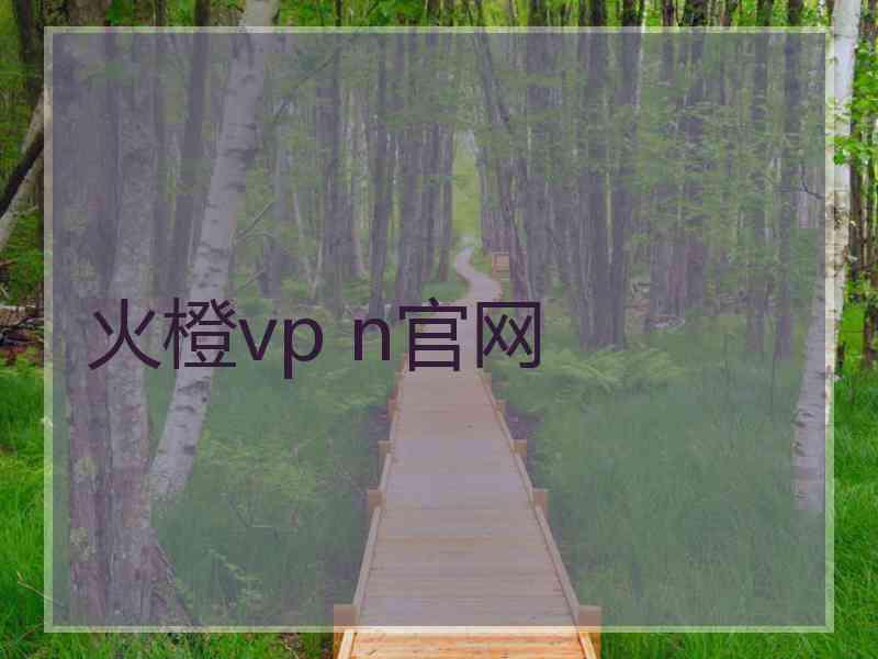 火橙vp n官网