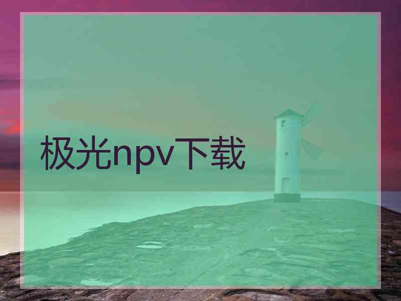 极光npv下载