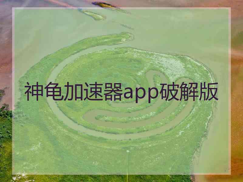 神龟加速器app破解版