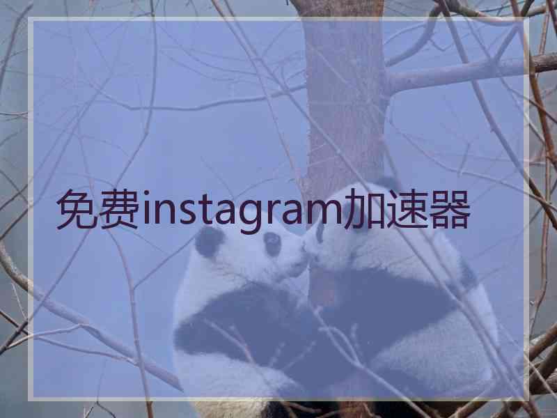 免费instagram加速器