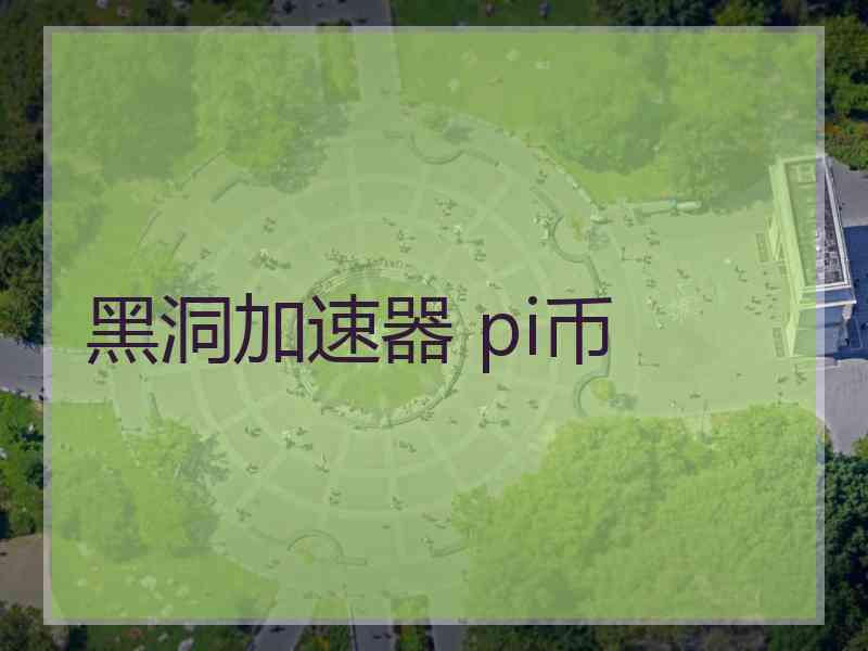 黑洞加速器 pi币