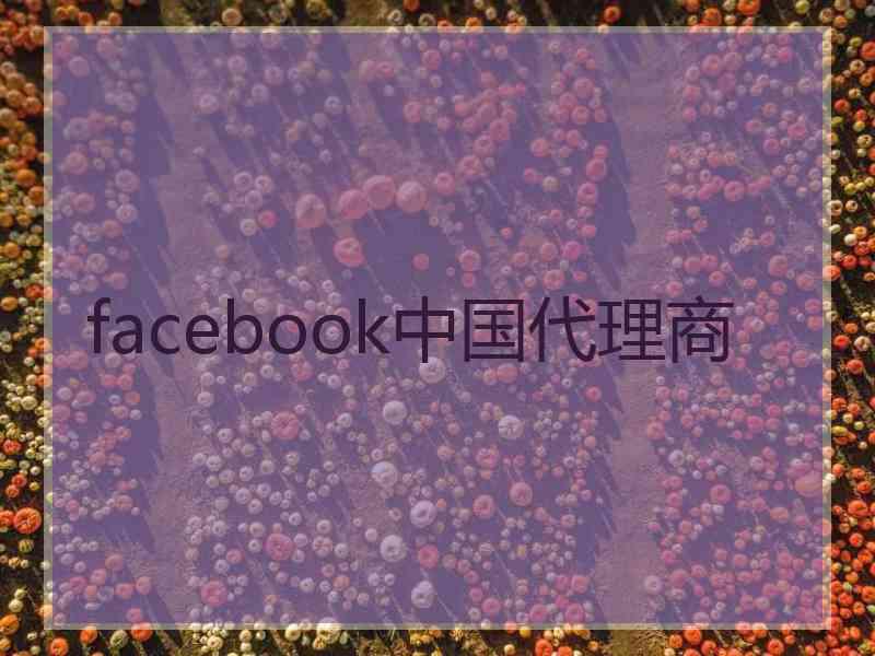 facebook中国代理商