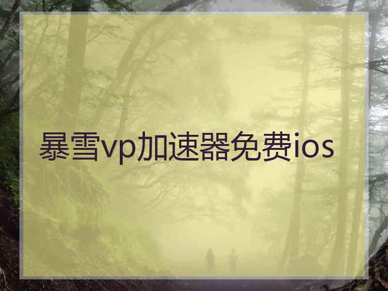 暴雪vp加速器免费ios