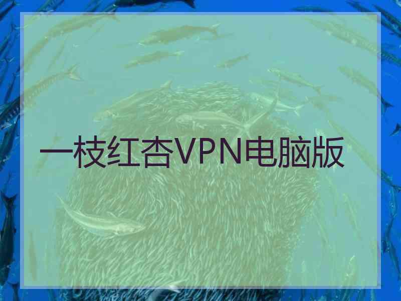 一枝红杏VPN电脑版