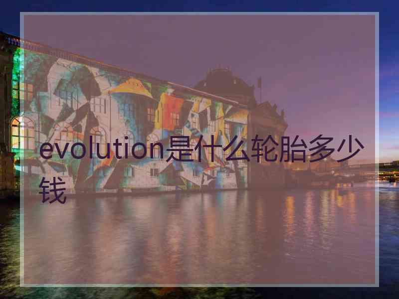 evolution是什么轮胎多少钱