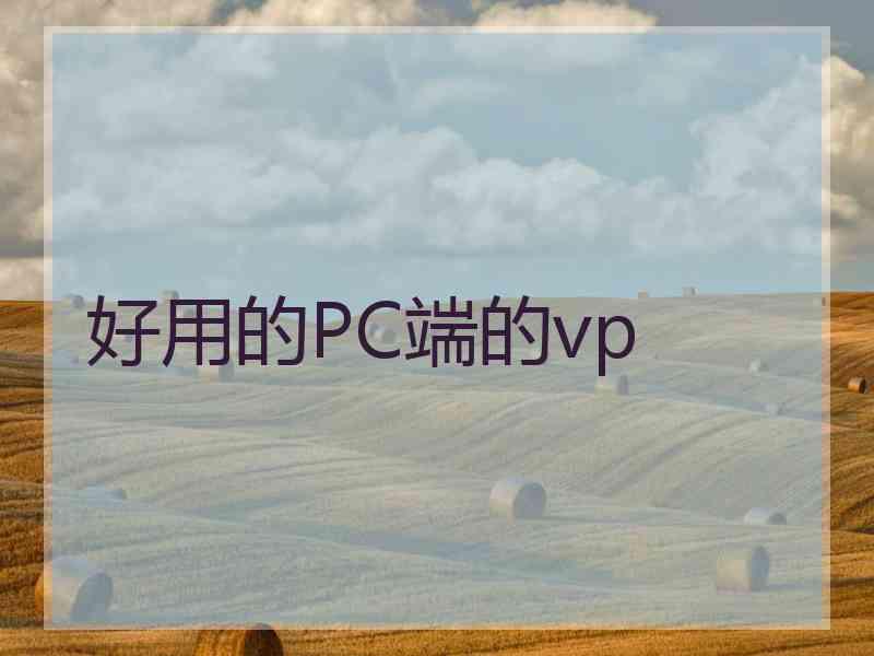 好用的PC端的vp