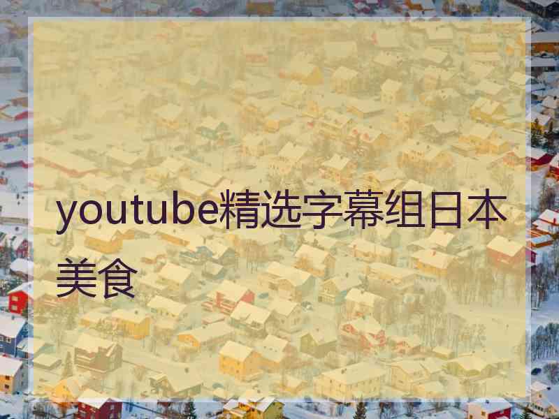 youtube精选字幕组日本美食