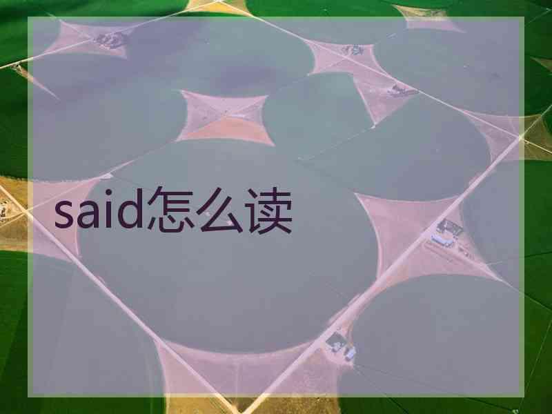 said怎么读