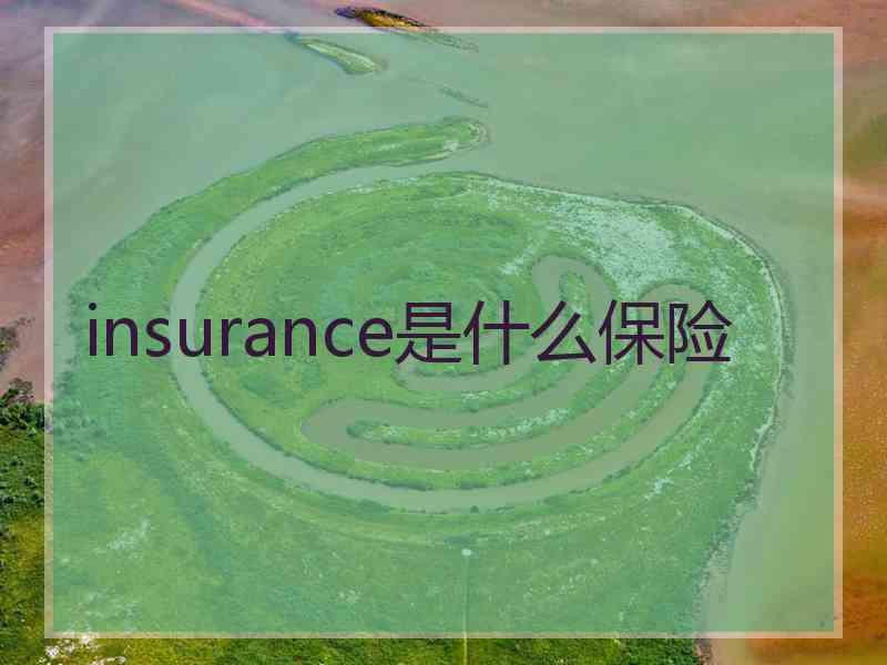 insurance是什么保险