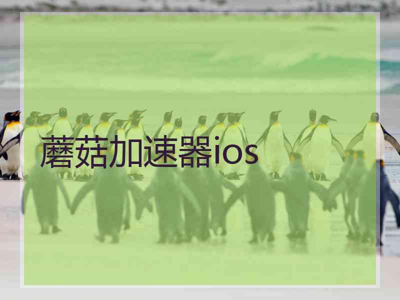 蘑菇加速器ios