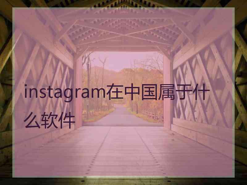 instagram在中国属于什么软件