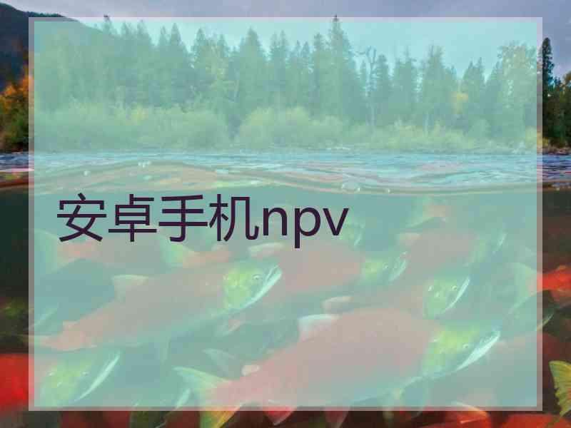 安卓手机npv