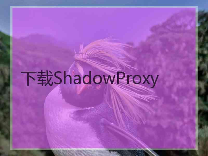 下载ShadowProxy