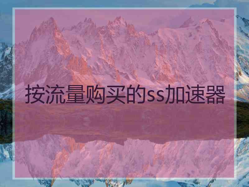 按流量购买的ss加速器