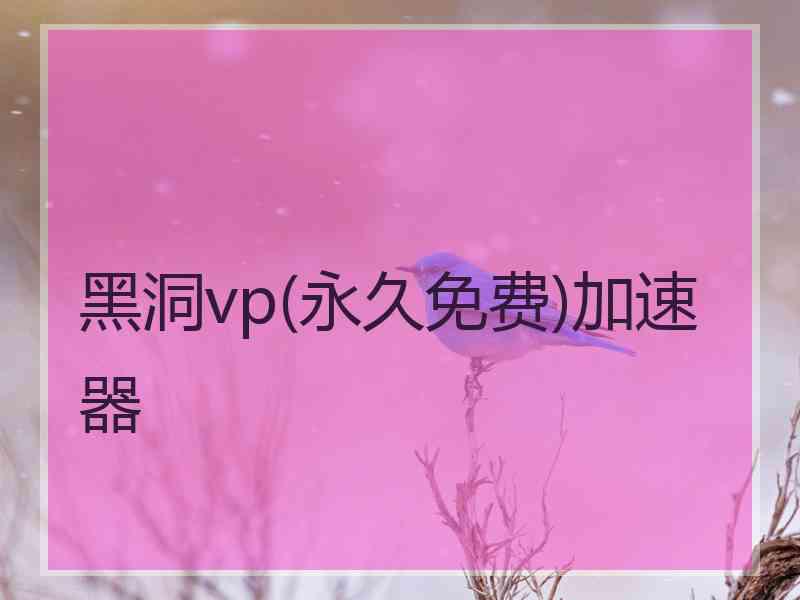 黑洞vp(永久免费)加速器