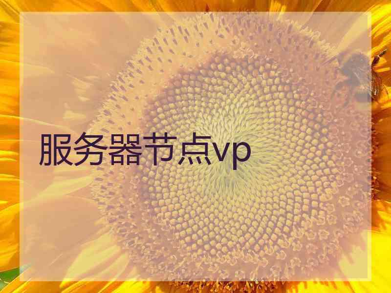 服务器节点vp